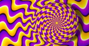 Lire la suite à propos de l’article Ce n’est pas la réalité extérieure qui colore nos perceptions, c’est notre cerveau